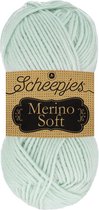 Scheepjes Merino Soft 50g - 651 Pissarro