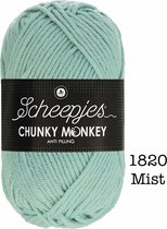 Scheepjes Chunky Monkey 100g - 1820 Mist - Blauw