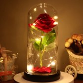 Love rose in glas - Inclusief lichtjes - Gratis Giftbox - Valentijnscadeau! Zwarte ondergrond