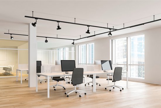 Rail - DUOLINE - 2 Phases - Opbouw - Aluminium - Blanc Wit - 0.5m