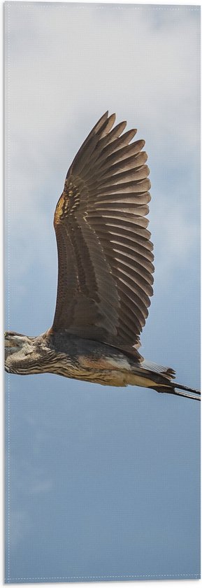 WallClassics - Vlag - Vliegende Reiger door de Lucht met Grote Vleugels - 20x60 cm Foto op Polyester Vlag