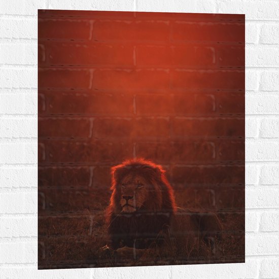 WallClassics - Muursticker - Liggende Leeuw met Oranje Gloed - 60x80 cm Foto op Muursticker