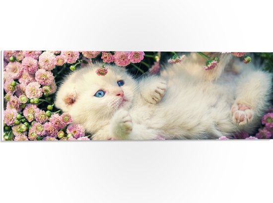 PVC Schuimplaat- Witte Kitten Spelend tussen Roze Bloemen - 60x20 cm Foto op PVC Schuimplaat
