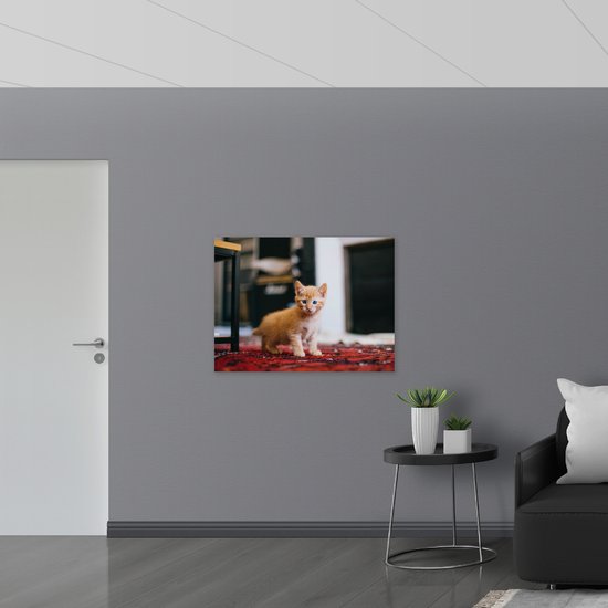 WallClassics - Poster Glanzend – Kitten in een Huiskamer - 100x75 cm Foto op Posterpapier met Glanzende Afwerking
