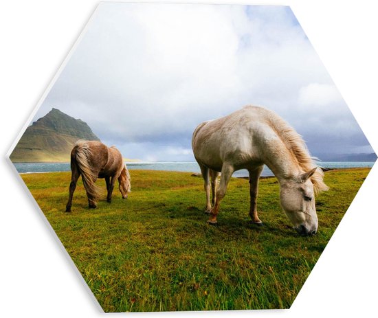 WallClassics - PVC Schuimplaat Hexagon - Paarden op het Gras met Berg in de Achtergrond - 30x26.1 cm Foto op Hexagon (Met Ophangsysteem)