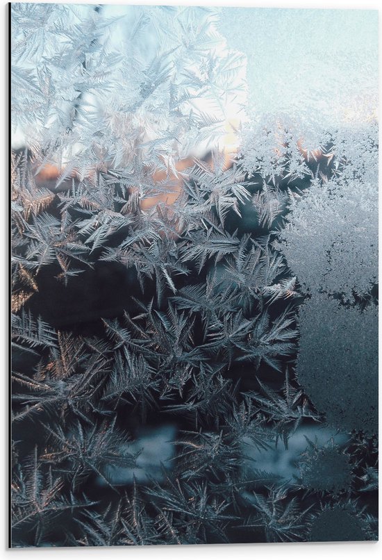 WallClassics - Dibond - Close-up van Bevroren Sneeuwvlokken - 40x60 cm Foto op Aluminium (Wanddecoratie van metaal)