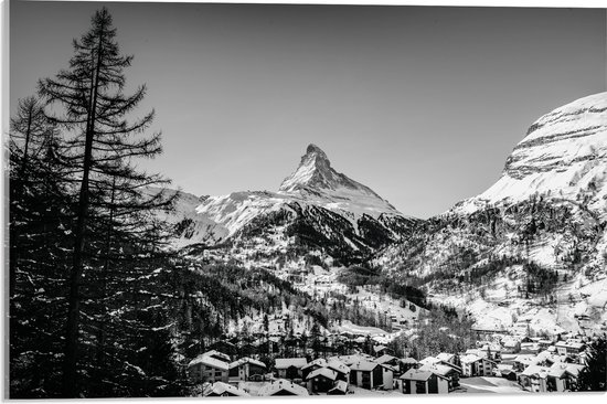 WallClassics - Acrylglas - Grote Boom voor Sneeuwbergen (zwart/ wit) - 60x40 cm Foto op Acrylglas (Wanddecoratie op Acrylaat)