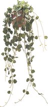 Chinees lantaarnplantje - Geropegia - kunstplant - in pot - roze - 70cm - 258 Blaadjes - UV Bestendig