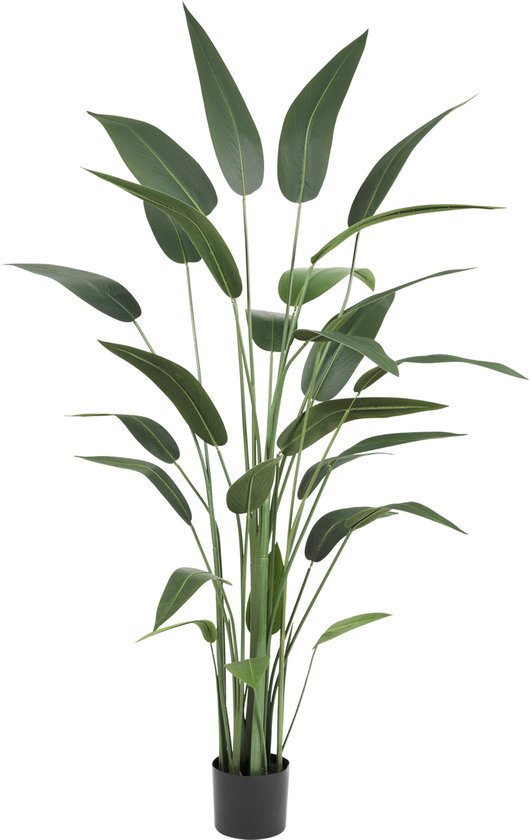 Greenmoods Kunstplanten - Kunstplanten - Heliconia - Zijde - 210 cm