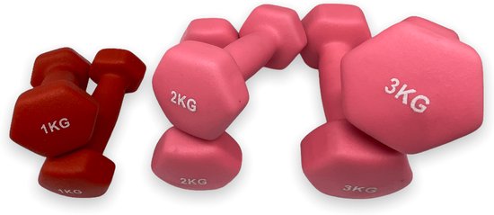 Tunturi Dumbell set - 2 x 0,5 kg - Vinyl - Roze - Incl. gratis fitness app