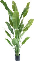 Greenmoods Kunstplanten - Kunstplanten - Strelitzia Nicolai Deluxe - Zijde - 225 cm