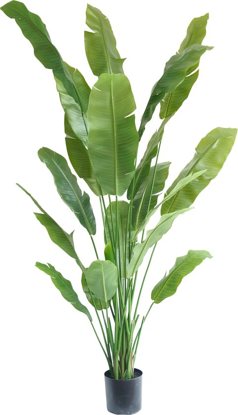 Greenmoods Kunstplanten - Kunstplanten - Strelitzia Nicolai Deluxe - Zijde - 225 cm