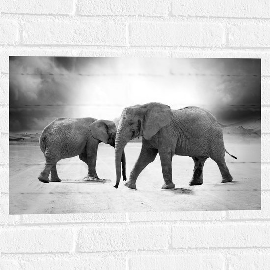 WallClassics - Muursticker - In Lijn Lopende Olifanten (Zwart wit) - 60x40 cm Foto op Muursticker