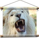 WallClassics - Affiche textile - Lion mâle Witte rugissant - 40x30 cm Photo sur textile
