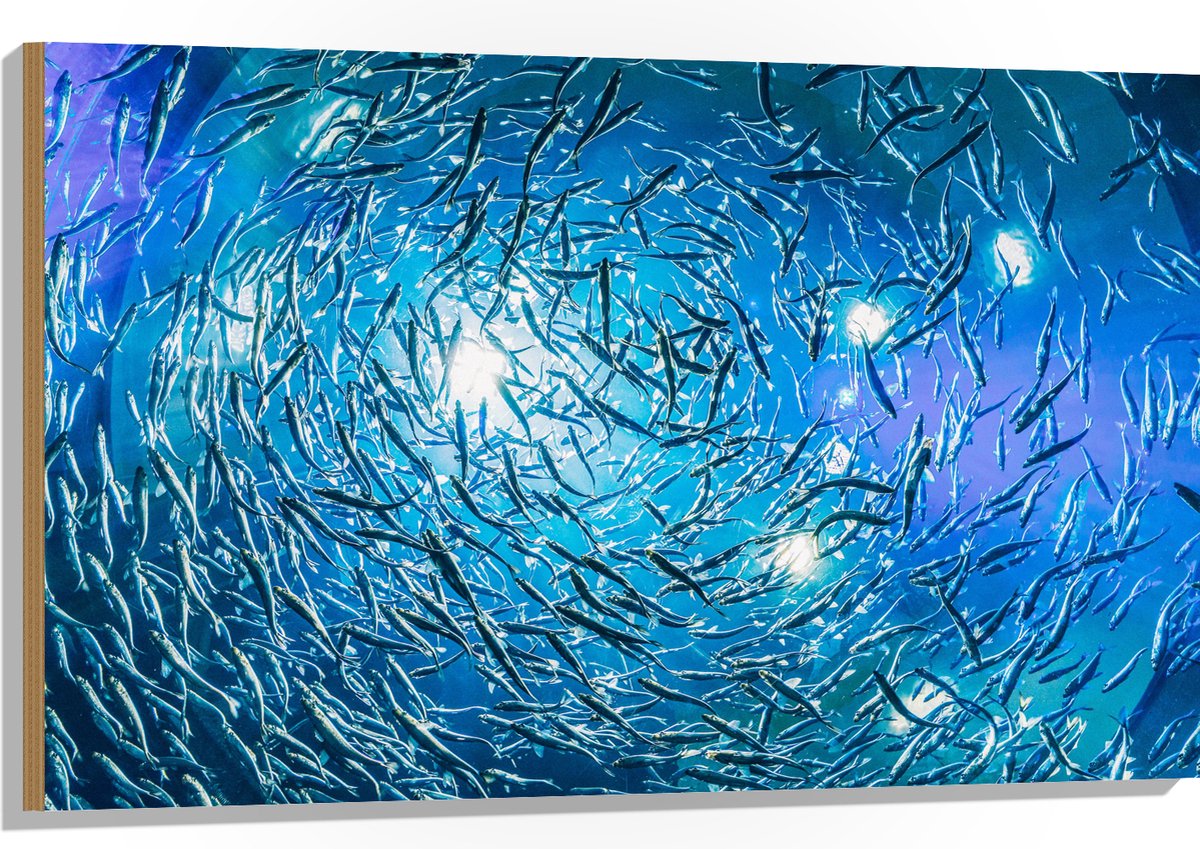 Hout - School Vissen in een Groot Aquarium - 105x70 cm - 9 mm dik - Foto op Hout (Met Ophangsysteem)