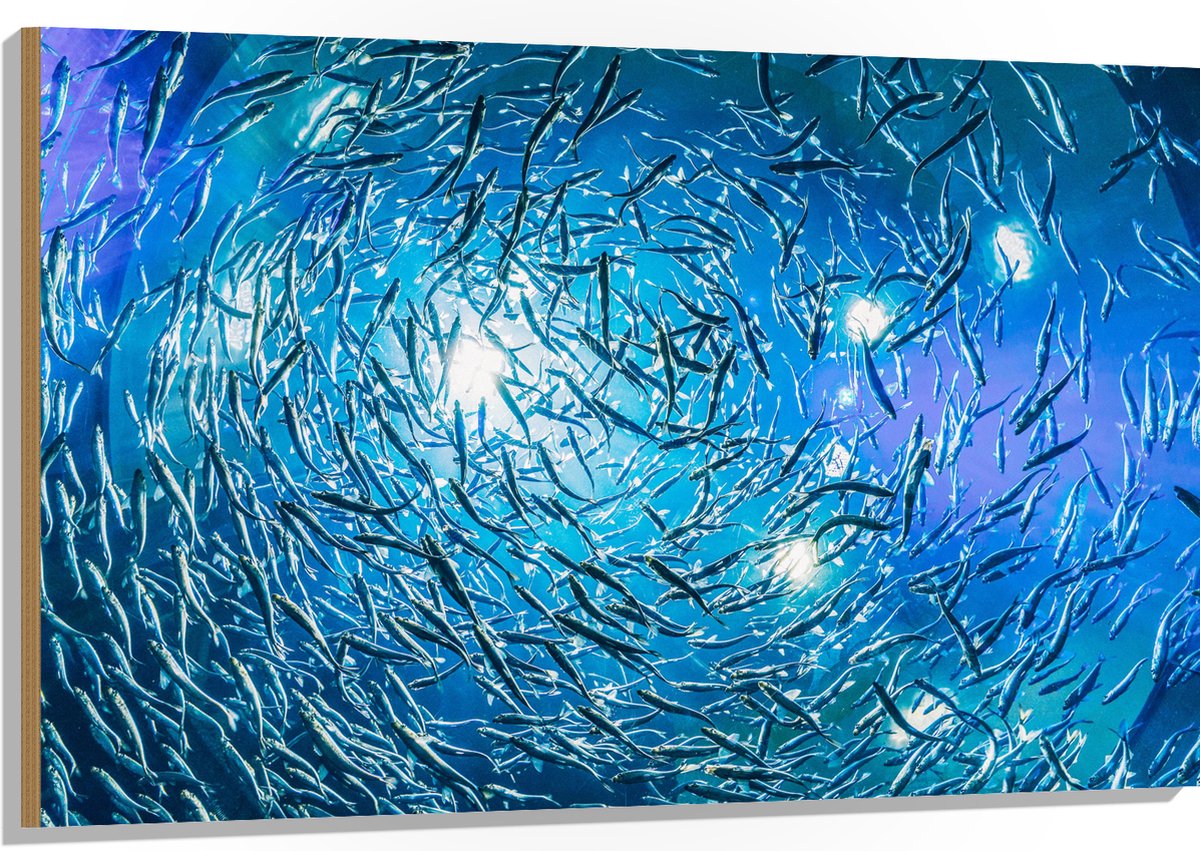 Hout - School Vissen in een Groot Aquarium - 120x80 cm - 9 mm dik - Foto op Hout (Met Ophangsysteem)