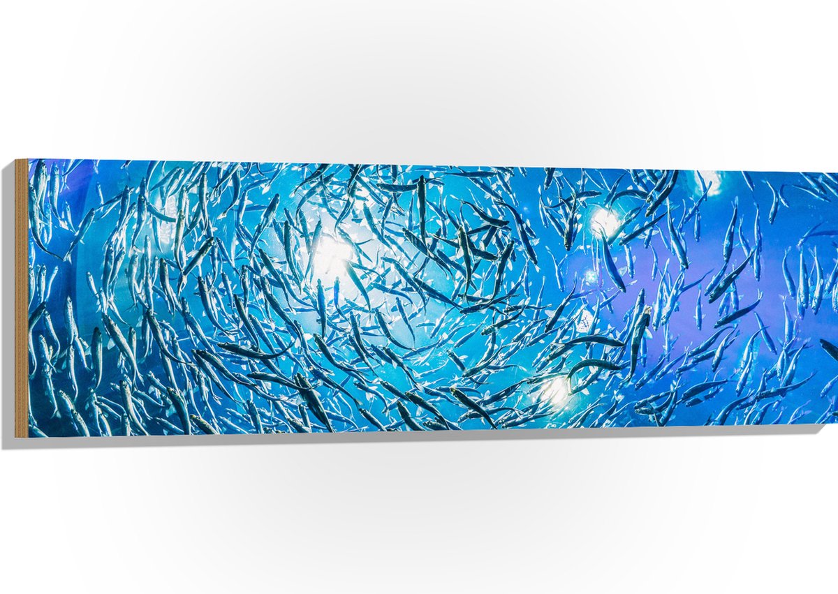 Hout - School Vissen in een Groot Aquarium - 120x40 cm - 9 mm dik - Foto op Hout (Met Ophangsysteem)