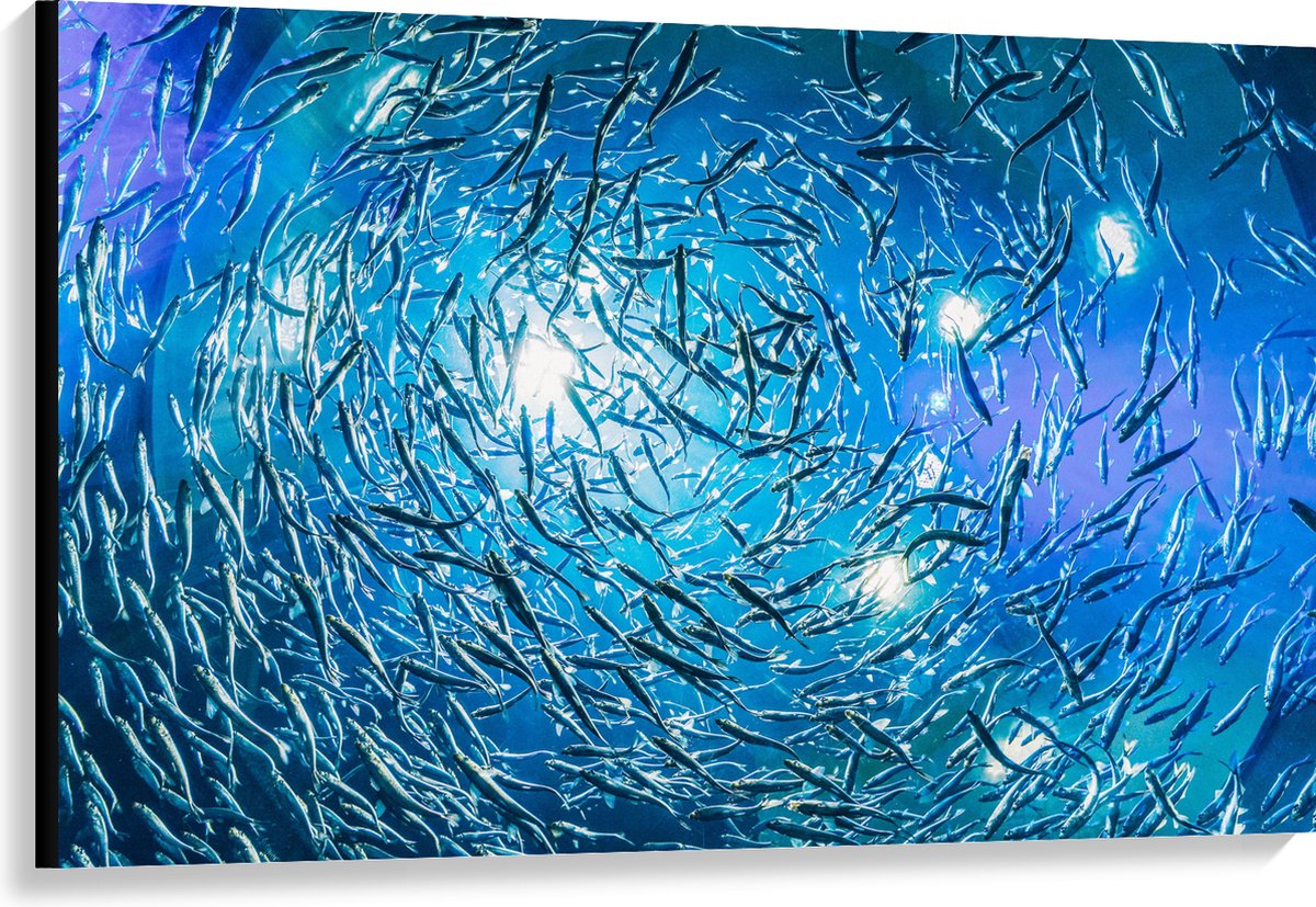 Canvas - School Vissen in een Groot Aquarium - 120x80 cm Foto op Canvas Schilderij (Wanddecoratie op Canvas)