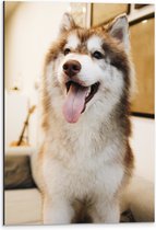 WallClassics - Dibond - Bruine Husky Hond met Uitstekende Tong - 40x60 cm Foto op Aluminium (Met Ophangsysteem)
