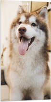 WallClassics - Vlag - Bruine Husky Hond met Uitstekende Tong - 50x100 cm Foto op Polyester Vlag