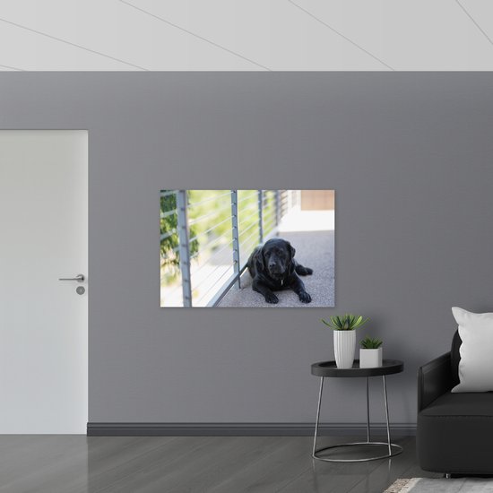 Hout - Liggendde Hond op Stoep - 120x80 cm - 9 mm dik - Foto op Hout (Met Ophangsysteem)