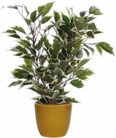Plante artificielle ficus vert/blanc 40 cm avec cache-pot jaune ocre D13,5 et H12,5 cm