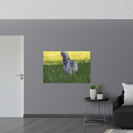 WallClassics - Drapeau - Chat beige à poil long dans une herbe Perfect tondue - Photo 120 x 80 cm sur drapeau en polyester