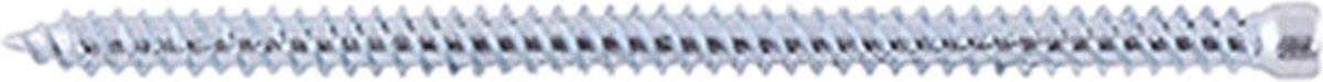 fischer Kozijnschroef FFSZ 7.5 x 202 T30 met cilinderkop (100 stuks)