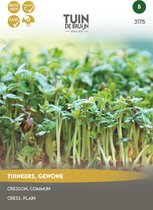 Tuin de Bruijn® zaden - Tuinkers Alenois - Eenvoudige teelt - Hoge opbrengst