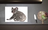 Inductieplaat Beschermer - Zittende Jonge Koala - 70x52 cm - 2 mm Dik - Inductie Beschermer van Vinyl