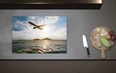 Inductieplaat Beschermer - Wit Vliegtuig Laagvliegend over Oceaan - 70x52 cm - 2 mm Dik - Inductie Beschermer van Vinyl
