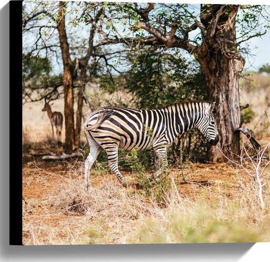 WallClassics - Canvas - Gestreepte Zebra bij Bomen in Droog Landschap - 40x40 cm Foto op Canvas Schilderij (Wanddecoratie op Canvas)