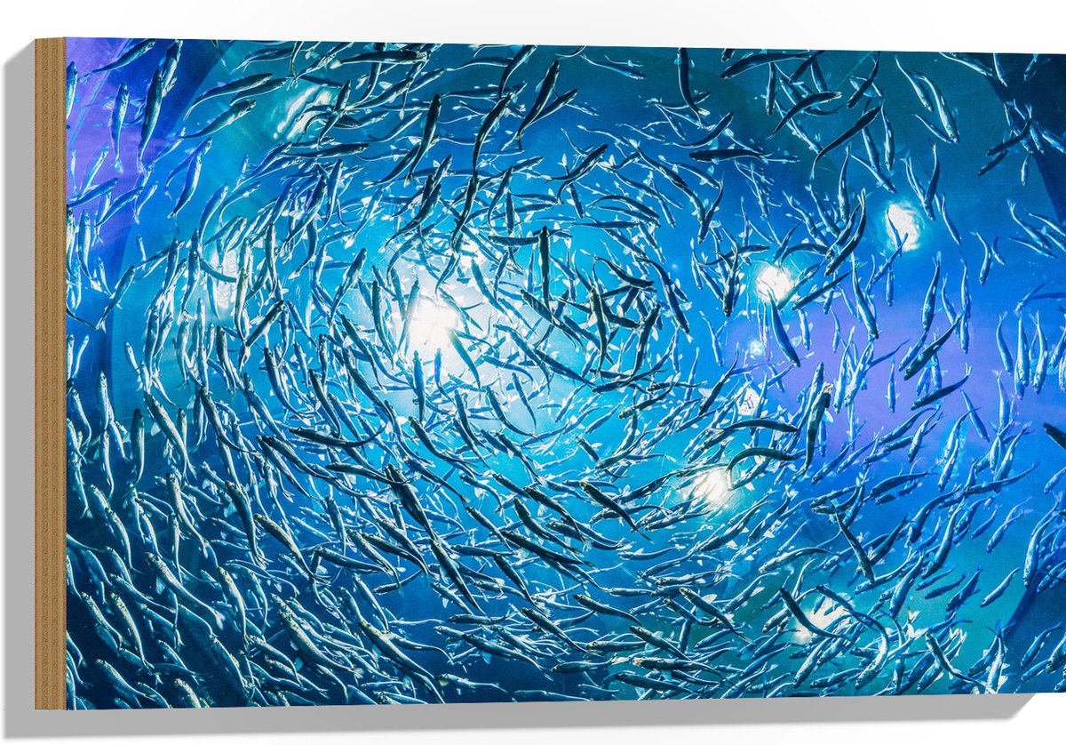 Hout - School Vissen in een Groot Aquarium - 60x40 cm - 9 mm dik - Foto op Hout (Met Ophangsysteem)