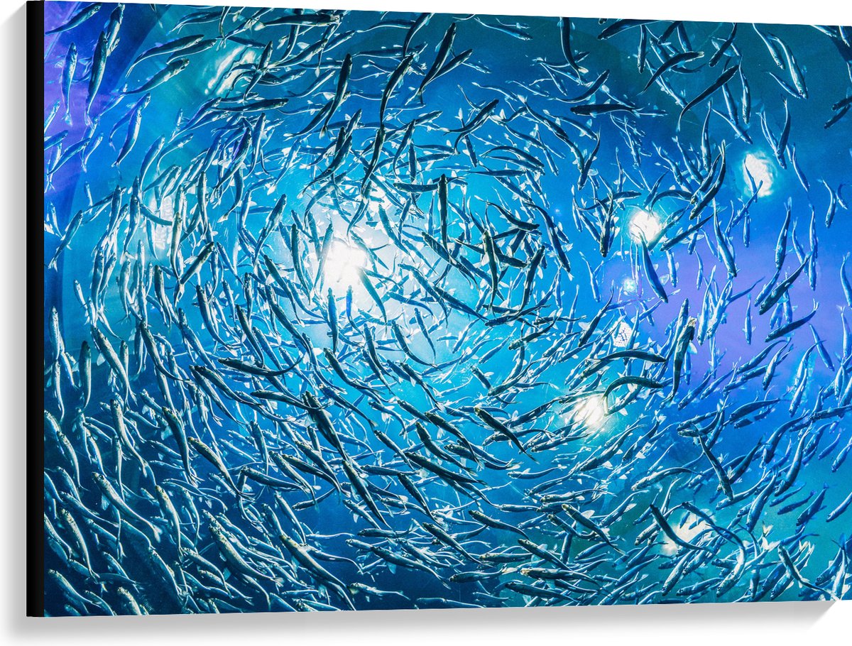 Canvas - School Vissen in een Groot Aquarium - 100x75 cm Foto op Canvas Schilderij (Wanddecoratie op Canvas)