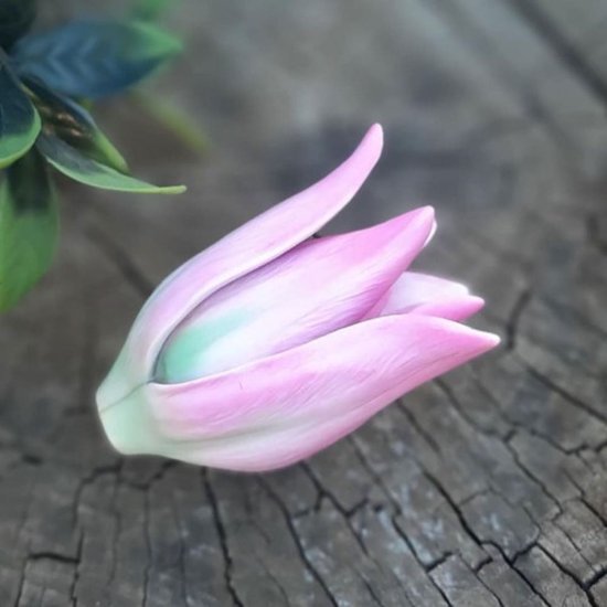 Vetplant planten fondant siliconen vorm 3D DIY. Kaars klei hars gips chocolade wax vorm bloem decoratief vorm M2728 (Color : Dark Grey Vetplant planten fondant siliconen vorm 3D DIY. Kaars klei hars gips chocolade wax vorm bloem decoratief vorm M2728 (Color : Dark Grey