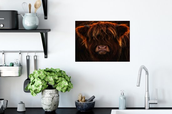Vue de face en gros plan d'un poster highlander écossais 40x30 cm - petit - Tirage photo sur Poster (décoration murale salon / chambre) / Poster Animaux sauvages