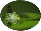 WallClassics - Dibond Ovaal - Zwarte Vlinder op een Groene Kikker - 68x51 cm Foto op Ovaal (Met Ophangsysteem)