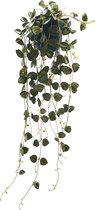 Chinees lantaarnplantje - Geropegia - kunstplant - in pot - Blauw - 70cm - 258 Blaadjes - UV Bestendig