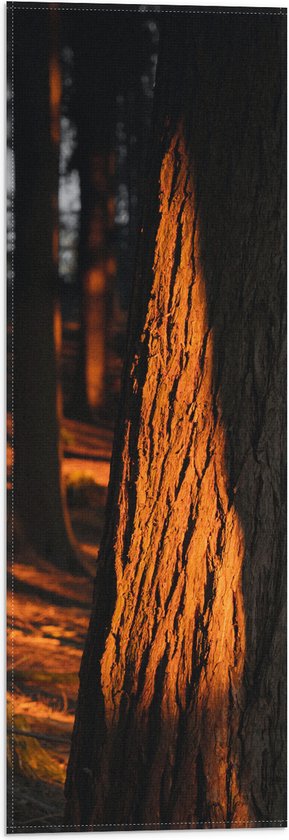 WallClassics - Vlag - Oranje Zonlicht in het Bos - 20x60 cm Foto op Polyester Vlag