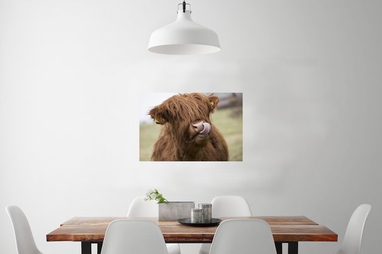 Highlander écossais lèche ses lèvres papier d'affiche