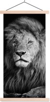Porte-affiche avec affiche - Affiche scolaire - Animaux sauvages - Lion - noir - Wit - 60x120 cm - Lattes vierges