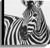 WallClassics - Canvas - Zwart met Witte Zebra - 40x40 cm Foto op Canvas Schilderij (Wanddecoratie op Canvas)