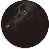 WallClassics - PVC Schuimplaat Muurcirkel - Zwarte Artistieke Hond - 60x60 cm Foto op Muurcirkel (met ophangsysteem)