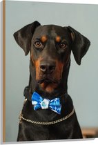 WallClassics - Hout - Hond met Blauwe Strik - 70x105 cm - 9 mm dik - Foto op Hout (Met Ophangsysteem)
