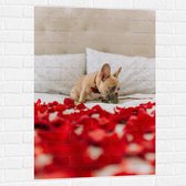 WallClassics - Muursticker - Hondje op Bed met Rode Rozenblaadjes - Franse Buldog - 70x105 cm Foto op Muursticker
