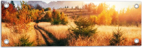 Tuinposter – Felle Zon over Landschap met Oranje Bomen en Droge Grassen - 60x20 cm Foto op Tuinposter (wanddecoratie voor buiten en binnen)