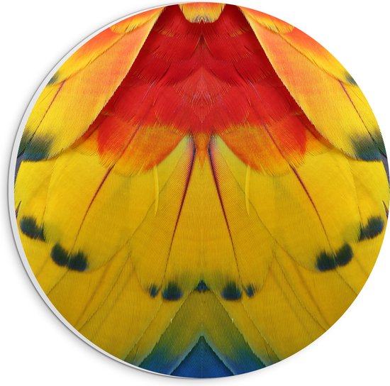 PVC Schuimplaat Muurcirkel - Close-up van Kleurrijke Veren - 20x20 cm Foto op Muurcirkel (met ophangsysteem)