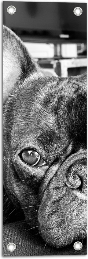 WallClassics - Tuinposter – Zwart met Witte Franse Bulldog - 20x60 cm Foto op Tuinposter (wanddecoratie voor buiten en binnen)