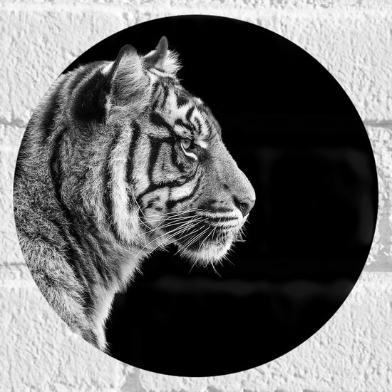 Muursticker Cirkel - Zijaanzicht van Kop van Sumatraanse Tijger (Zwart- wit) - 20x20 cm Foto op Muursticker
