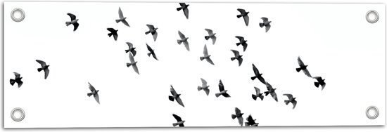 WallClassics - Tuinposter – Zwerm Vogels - 60x20 cm Foto op Tuinposter (wanddecoratie voor buiten en binnen)